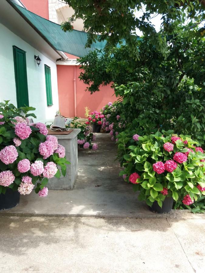 Apartment Ana Bibinje